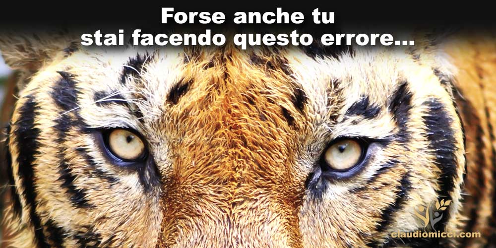 Forse anche tu stai facendo questo errore... gravissimo!